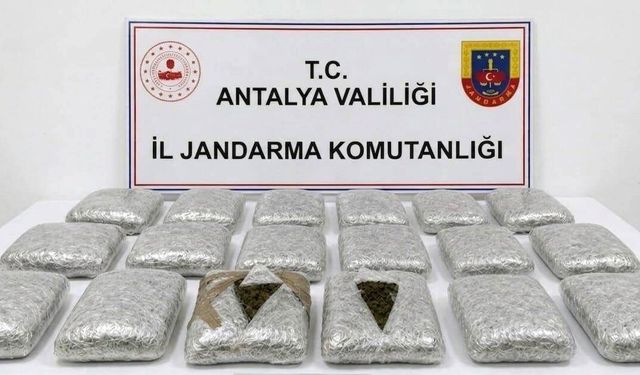 Antalya'da jandarmadan uyuşturucu operasyonu: 30 kilogram skunk maddesi ele geçirildi