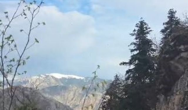 Artvin'de yaylada düşerek yaralanan vatandaş helikopterle kurtarıldı