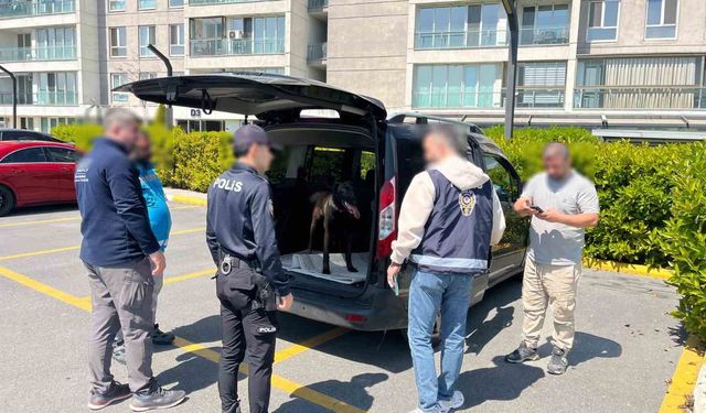 Avcılar'da köpeğe kötü muamelede bulunan şahıs yakalandı