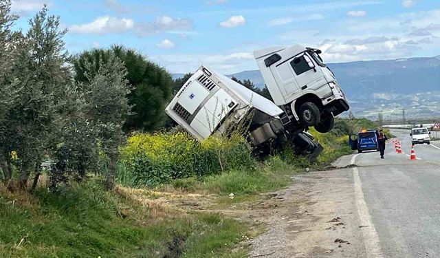 Bağa giren tır şaha kalktı