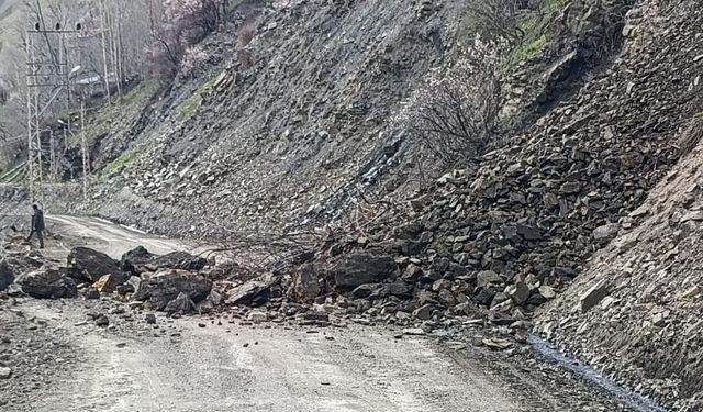 Bahçesaray'da mahalle yolunda heyelan
