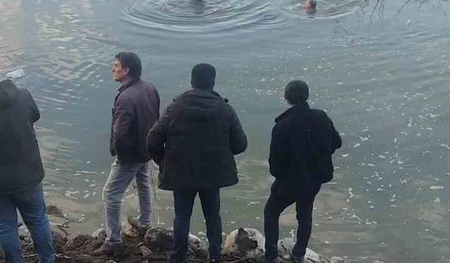 Baraj gölüne uçan otomobildeki sürücüyü ekipler kurtardı