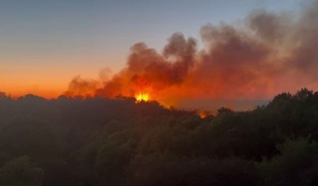 Beykoz'daki yangını söndürme çalışmaları devam ediyor
