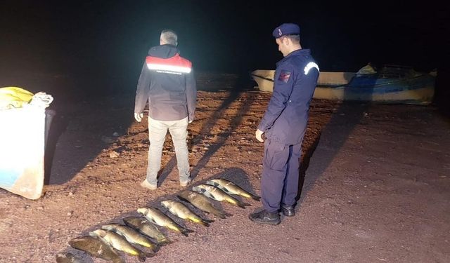 Beyşehir'de yasak dönemde kaçak avlananlara 439 bin lira ceza