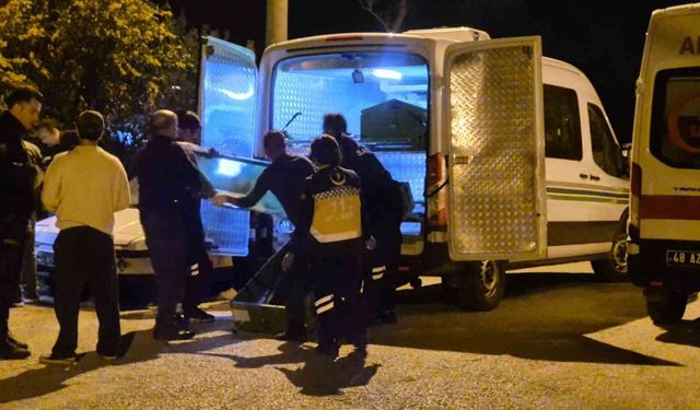 Bodrum'da kaza yapan motosiklet sürücüsü hayatını kaybetti