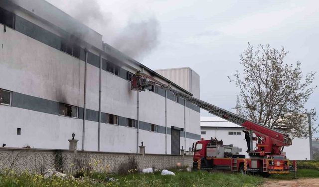 Bursa'da mobilya fabrikasında korkutan yangın