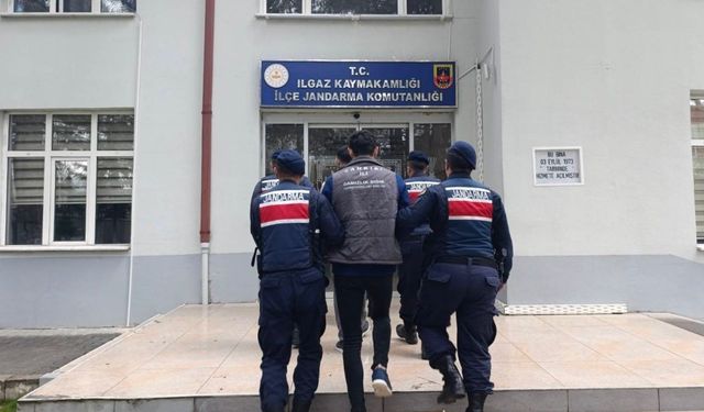 Çankırı'da büyükbaş hayvan çalan şahıslar tutuklandı