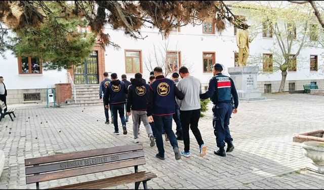 Çobanları hamama götürüp oyaladılar, 36 büyükbaş hayvanı çaldılar