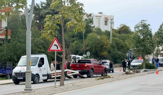 Direksiyon hakimiyetini kaybetti, 2 ağaç ve elektrik direğini yerinden söktü