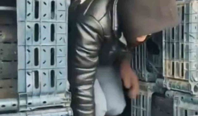 Düzce'de 7 düzensiz göçmen yakalandı