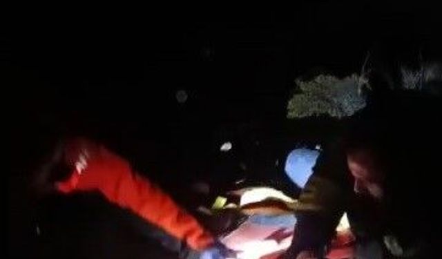 Erzincan'da uçurumdan düşen İran uyruklu vatandaş kurtarıldı