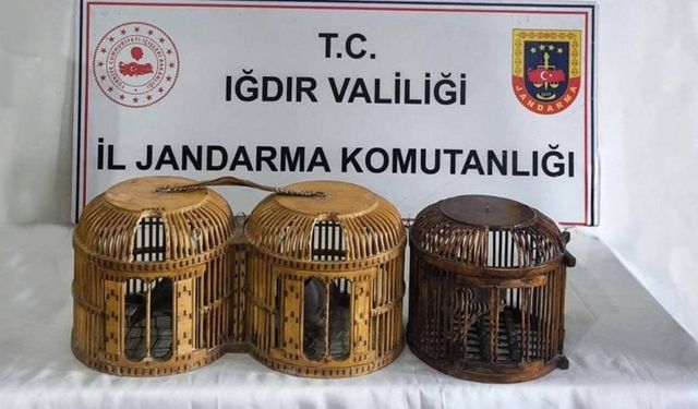 Iğdır'da kaçak keklik avına suçüstü: 72 bin TL ceza