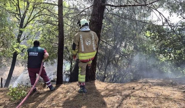 İskenderun'da orman yangını kontrol altına alındı
