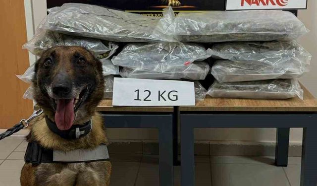 İstanbul'dan Ankara'ya uyuşturucu götürüyordu, Düzce'de yakalandı