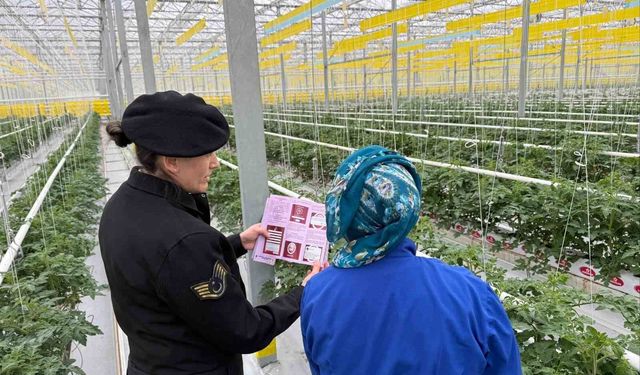 Jandarmanın kadına şiddetle mücadelesi sürüyor