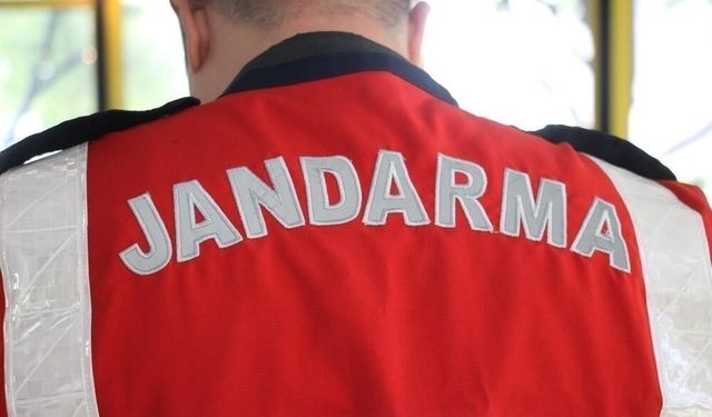 Karacasu'da Ruhsatsız Silah Operasyonu: Çok Sayıda Silah Ele Geçirildi