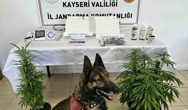 Kayseri'de uyuşturucu operasyonu