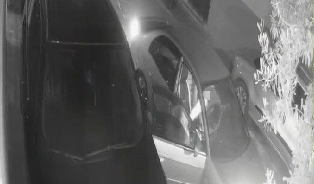 Otomobilden yol kenarına atılan kadının yardım çığlıkları
