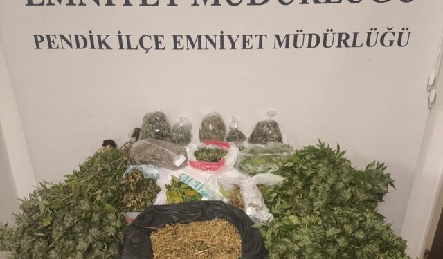 Pendik'te uyuşturucu operasyonu: 10 kilo marihuana ele geçirildi