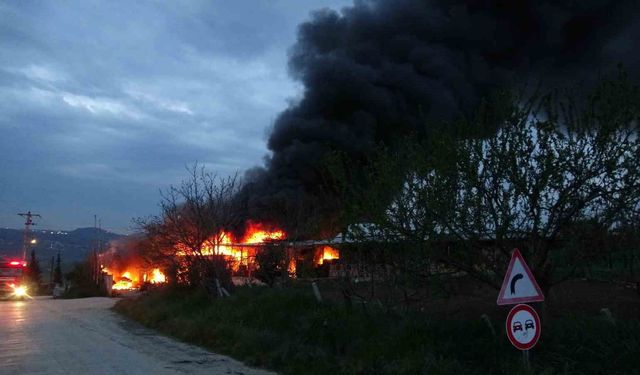 Samsun'da meyve deposunda yangın: Ekipler müdahale ediyor