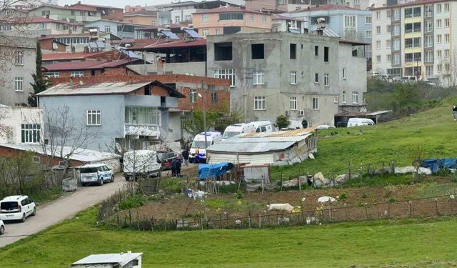 Samsun'daki evlat dehşeti: Anne ve oğlu evde ölü bulundu