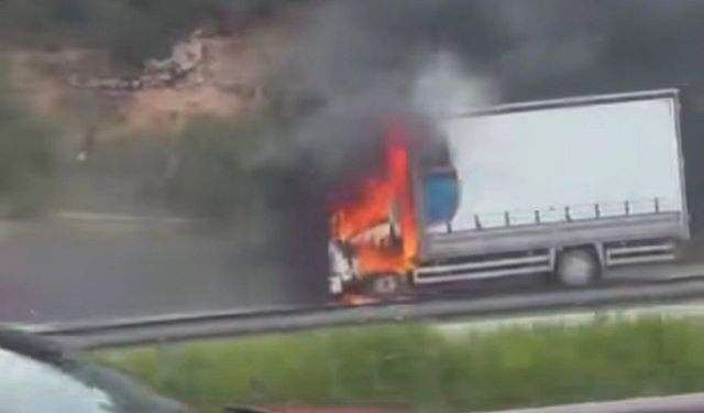 Bursa'da seyir halindeki kamyon, alev alev yandı