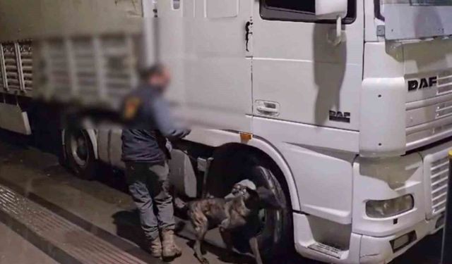 Sivas'ta 12 kilo uyuşturucu ele geçirildi: 2 tutuklama