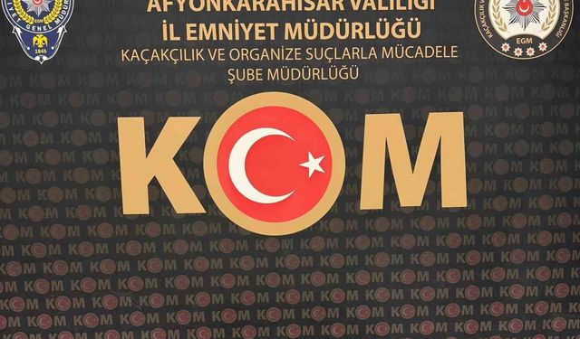 Tarihi eser operasyonunda bir kişi gözaltına alındı