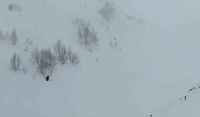 Uzman ekipten çığ bölgesinde inceleme: 95 gündür kayıp çoban için arama şartları oluşmadı