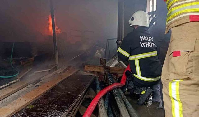 Yayladağı'nda müstakile evden alevler yükseldi