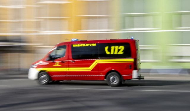 Alışveriş pasajında bir kurt kadına saldırdı