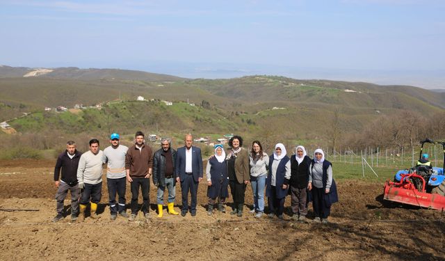 Bursa'da atıl araziler bereketleniyor