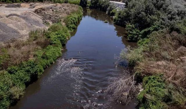 CHP’li Pala’dan Nilüfer Çayı uyarısı: “Çevre Bakanlığı çağrıları dikkate almıyor!”