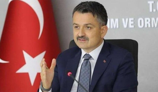 Eski Tarım Bakanı Pakdemirli BİM’e atandı