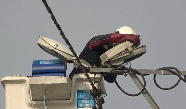 Bursa'da sokak lambaları kuşlara yuva oldu