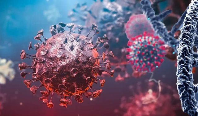 Uganda, ebola salgını nedeniyle Kongo Demokratik Cumhuriyeti sınırını kapattı!