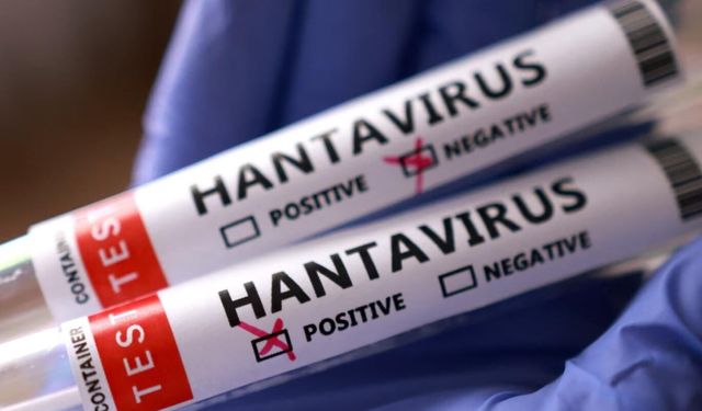 İngiliz ordusundan 'acil' kodlu Hantavirüs operasyonu