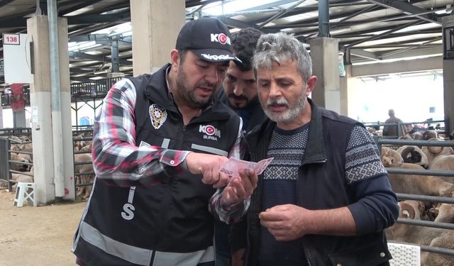 Bursa kurban pazarında güldüren anlar