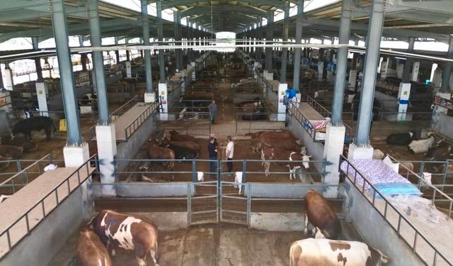 4 bine yakın kurbanlık alıcı buldu