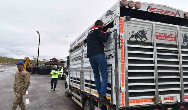 Bayburt'ta bayram öncesi hayvan sevkiyatlarına sıkı denetim