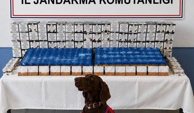 Bolu'da kaçakçılık operasyonu: 2 gözaltı