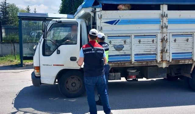 Bolu'da kurbanlık nakil araçları kontrol edildi