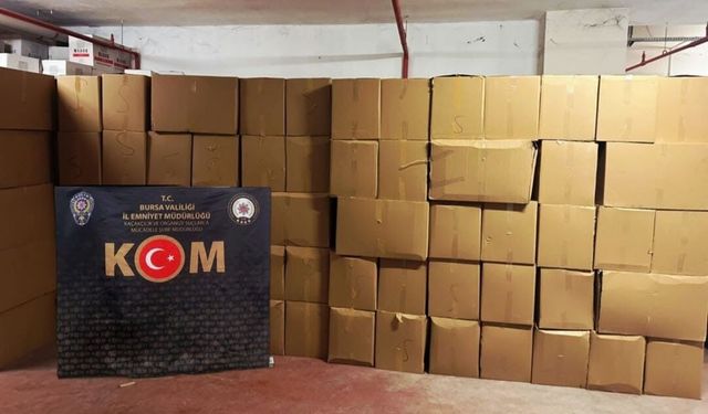 Bursa'da rekor kaçak makaron operasyonu