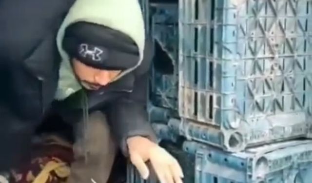 Düzce'de 7 düzensiz göçmen yakalandı
