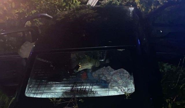 Bursa'da otomobil tarlaya uçtu: 4 yaralı