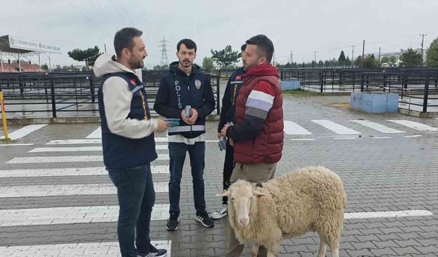 Kütahya'da kurbanlık pazarında sahte para ve dolandırıcılık uyarısı