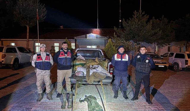 Muradiye'de 630 kilo inci kefali ele geçirildi