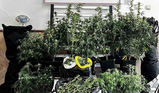 Osmangazi'de uyuşturucu operasyonu: 1 şüpheli tutuklandı