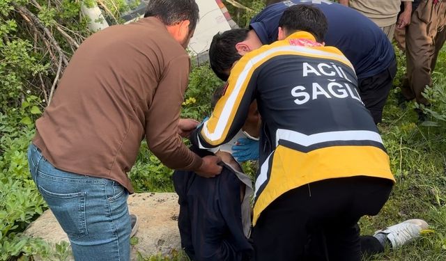 Şemdinli'de minibüs yoldan çıktı: 3 yaralı