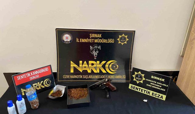 Şırnak'ta 7 milyon 450 bin liralık kaçak ürün ele geçirildi
